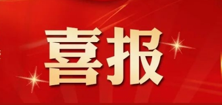 喜報 | 廣東思遠在“粵估協成立20周年總結表彰大會”中榮獲多項榮譽表彰